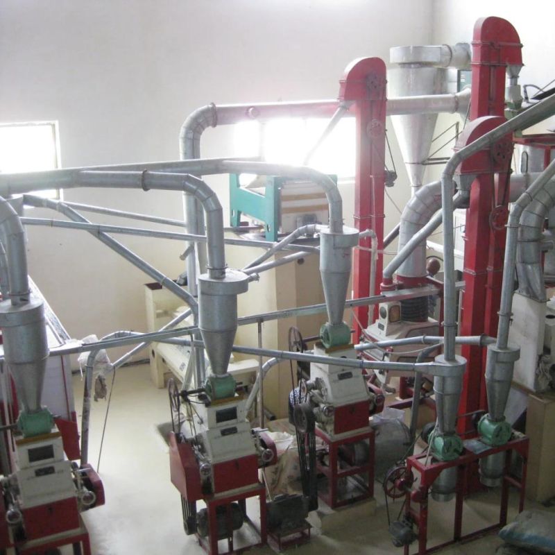 30t/24h Maize Flour Machine for Maize Meal