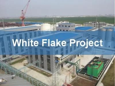 600 Tpd Soybean White Flake Machine/Plant/Line