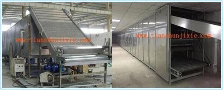 Temperature Controll Continuouse Belt Chilli Vegteble and Fruit Drying Machine