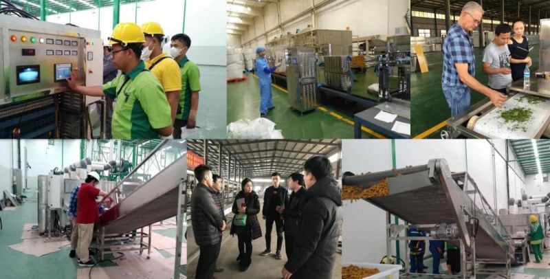 Quinoa Washing and Drying Machine