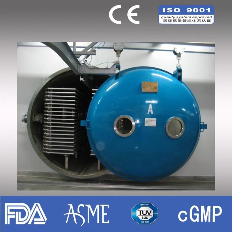 Food Freeze Dryers Sale/Pumpkin Seeds Dryer/Oven for Dehydrating Fruit