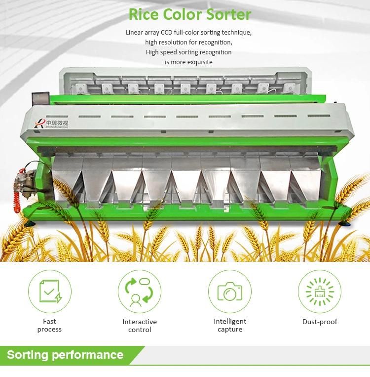 Rice Colour Sorter Machine Color Sorting Machinery to Process Rice Seeds