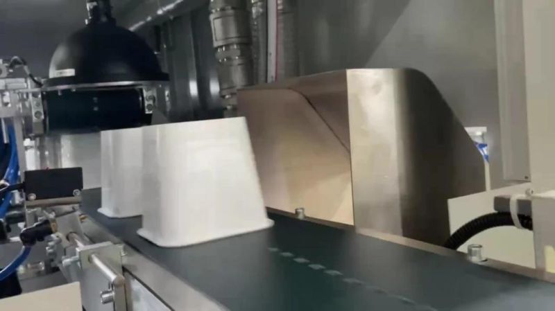 Special Shaped Bowl Inspecting Machine