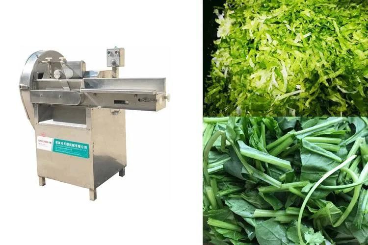 Commercial Electric Vegetables Belt Cutting Machine Leaf Vegetable Cutter