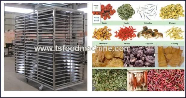 Industrial Fruit Drying Machine Plantain Chips Dryer