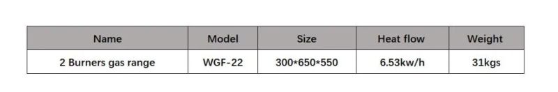 Factory Direct Sale Countertop Kitchen Equipment Stainless Steel Gas Cooking Range 2 Burner