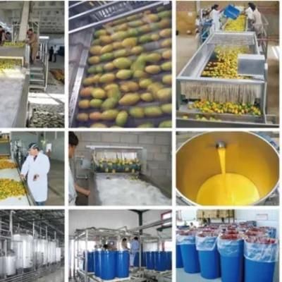 Orange Citrus Lemon Juice Processing Machine Production Line Turnkey Project