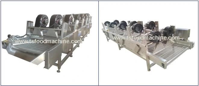 Stainless Steel Raw Potato, Carrot Onion Apple Drying Machine