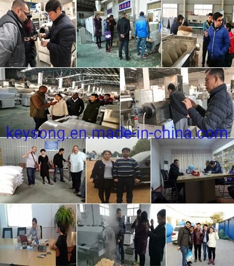 Stainless Steel Conveyor Mesh Belt Food Drying Machine