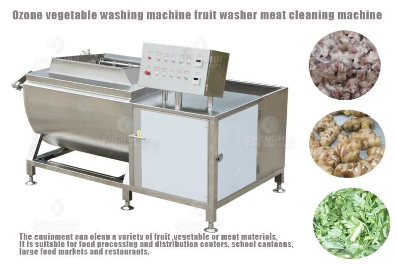 Ozone Vegetable Washing Machine Air Bubble Fruit Cleaning Machine Fish Meat Cleaner Food Machinery