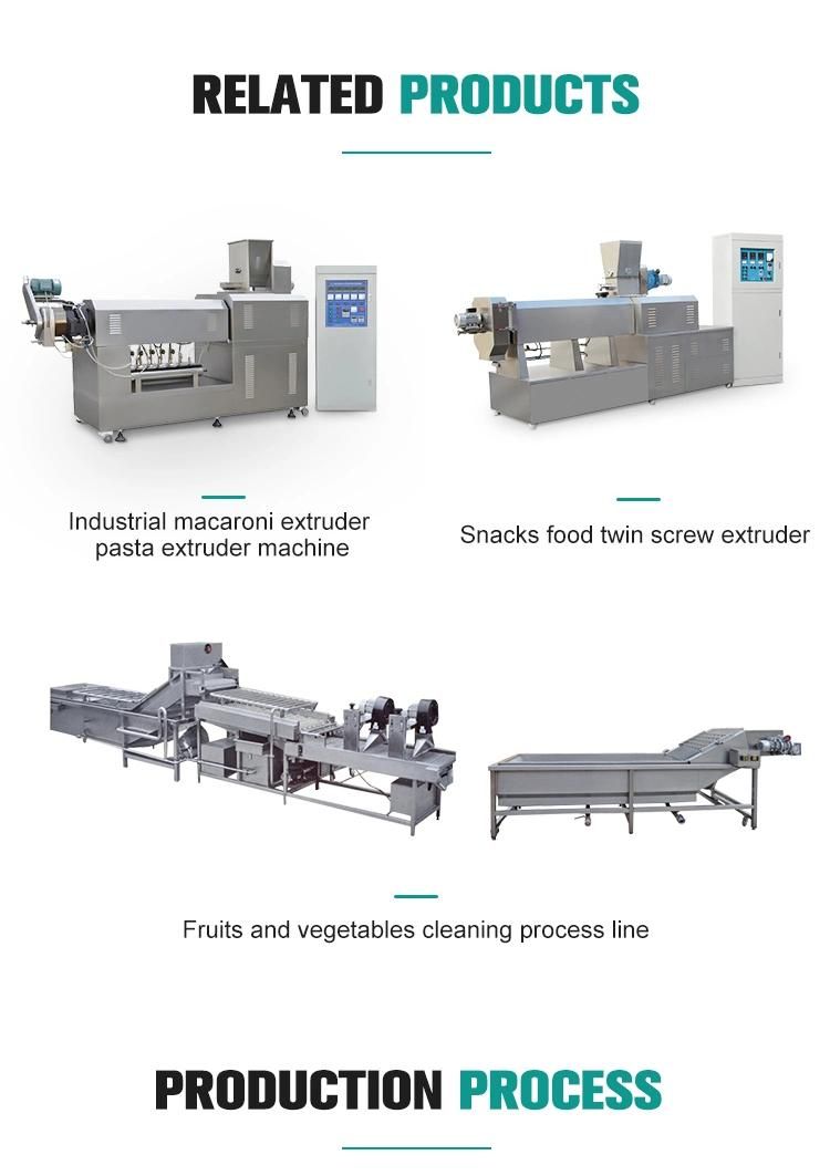 Sinking Fish Feed Processing Making Machine