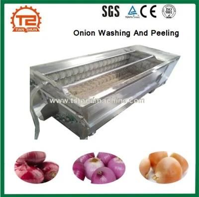 Root Vegetable Potato and Onion Washing and Peeling Machine