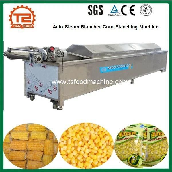 Snack Food Manchinery Auto Steam Blancher Corn Blanching Machine