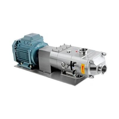 Us 3A Food Processing Positive Displacement Twin Screw Pump with Electric Motor