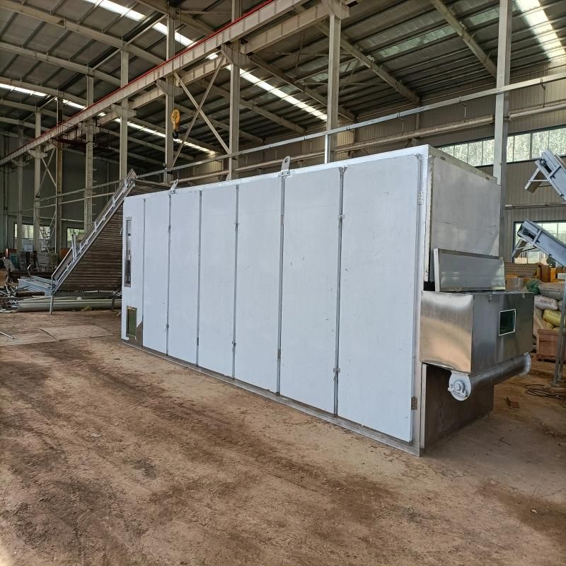 Automatic Drying Oven for Beans