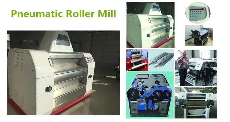 Turnkey Project Wheat Mill Machinery, Wheat Flour Mill