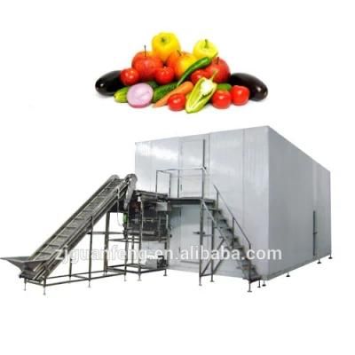 1t High Efficient IQF Freezer Fruits Fluidized Freezing Machine