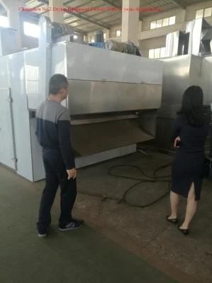 Chrysanthemum Belt Dryer in China