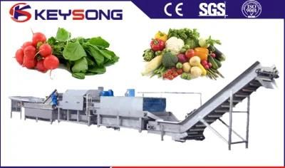 Fresh Vegetable Bean Sprout Bubble Washing Machine