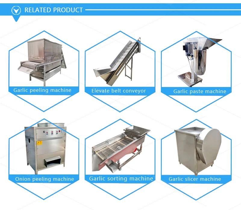 Easy Operation Garlic Clove Separator Machine Garlic Clove Separating Machine