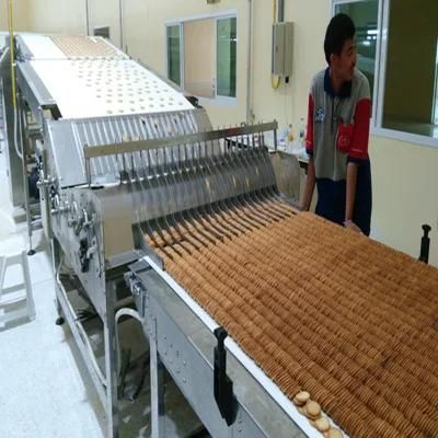 Kh-800 Automatic Biscuit Production Line Machine