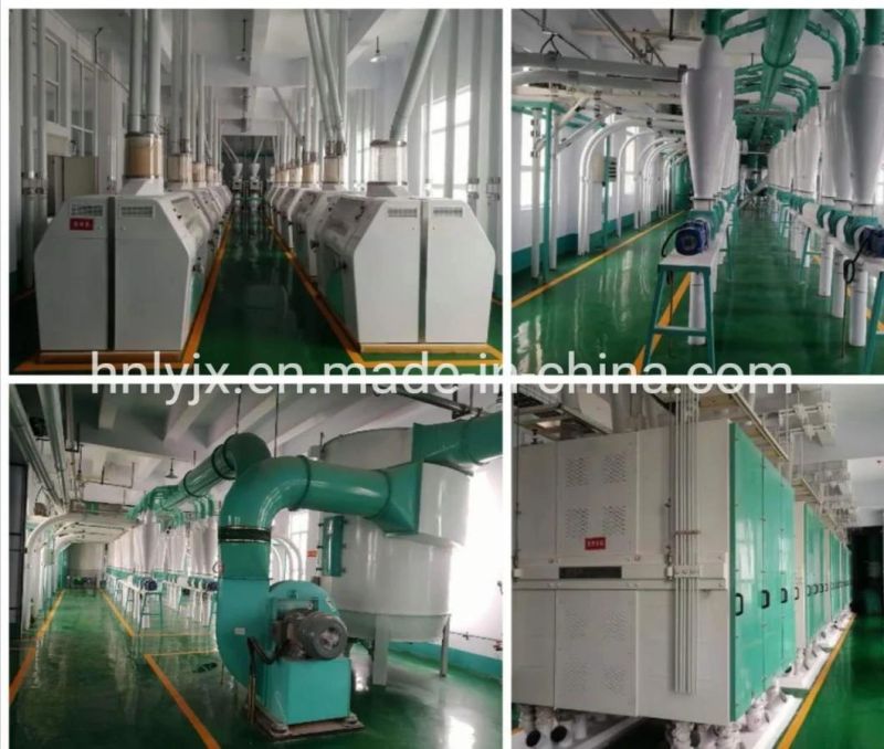 2021 Automatic 250tpd Wheat Flour Making Machine for Sale