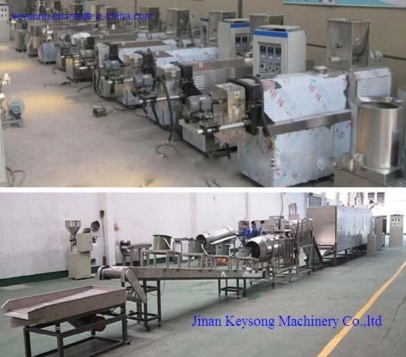 Steam Driven Fruit Vegetable Seafood Drying Machine