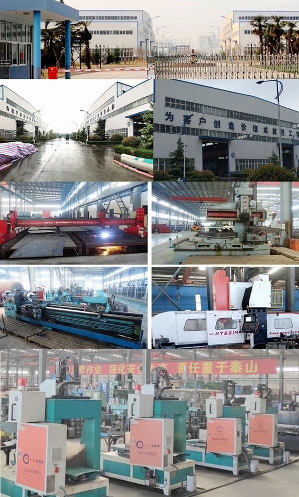 700 kg/h Stainless steel Onion Processing Machine Onion peeler