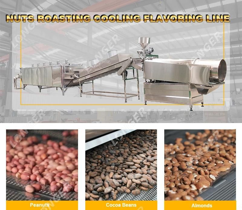 Nuts Mixing and Roasting Flavoring Line Salted Raw Cashew Nuts Roaster Machine