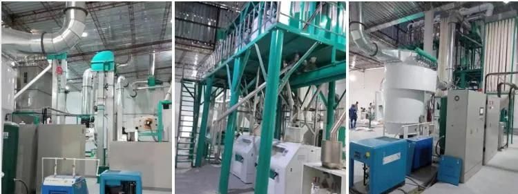 60t Brazil Running Wheat Flour Mill Machine with Price