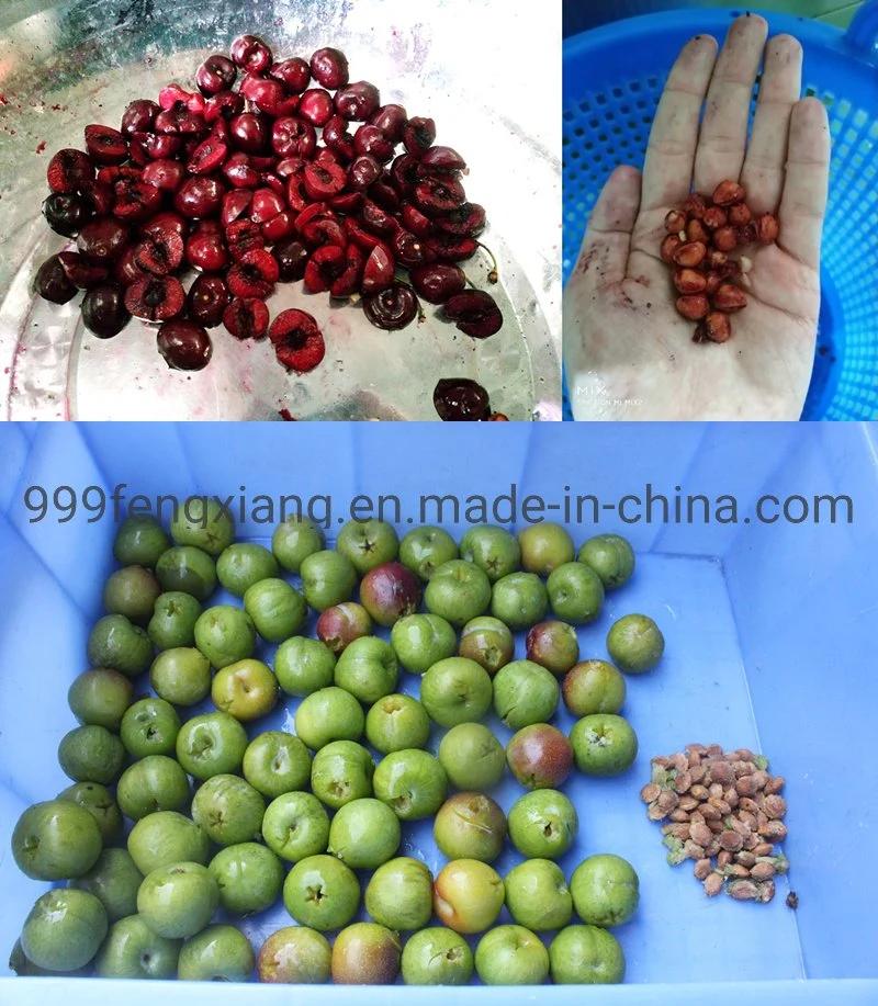 Fruit Plum Cored Separator, Red Dates Pitter Pitting Machine