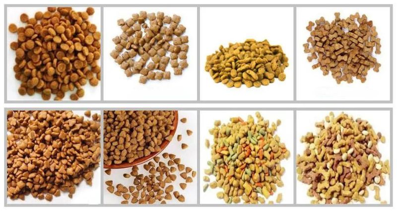 Animal Aquarium Pet Dog Cat Floating Fish Feed Pellet Production Machine Snacks Food Processing Making Extrusion Line