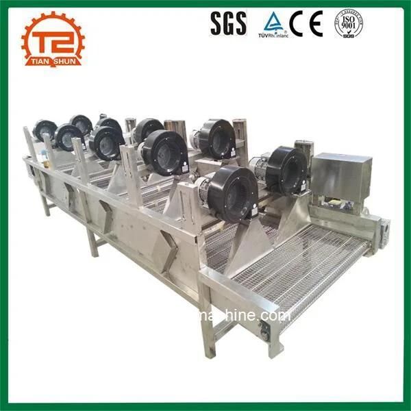 Nut Conveyor Belt Dryer Equipment Areca Nut Drying Machine