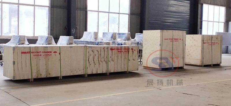 Food and Beverage Processing Automatic Check Weigher Machine