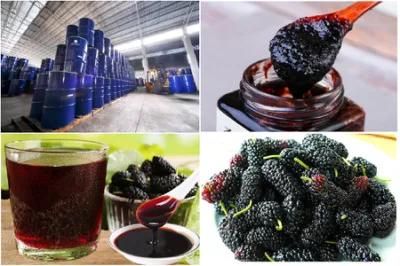 Mulberry Juice Processing Line