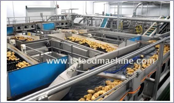 Potato Washer Washing Machine and Peeling Machine