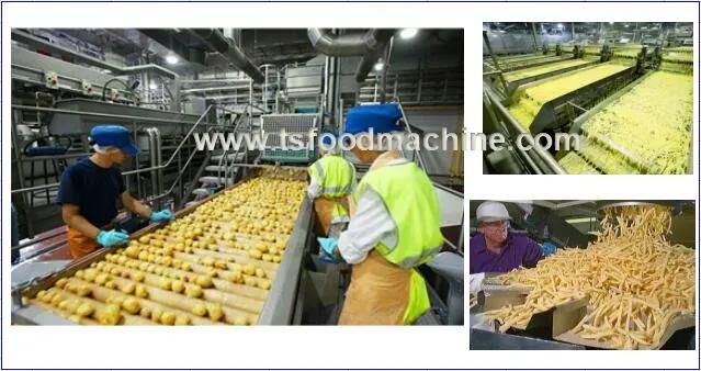 Industrial Automatic Commercial Potato Chips Cutter