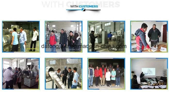 High Capacity Ce Certification Pellet Pet Food Making Machine