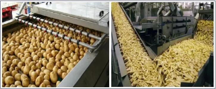 500kg/H French Fries Processing Line Potato Chips Line