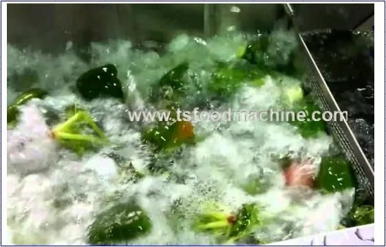 Ultrasonic Cleaning Machine for Vegetables