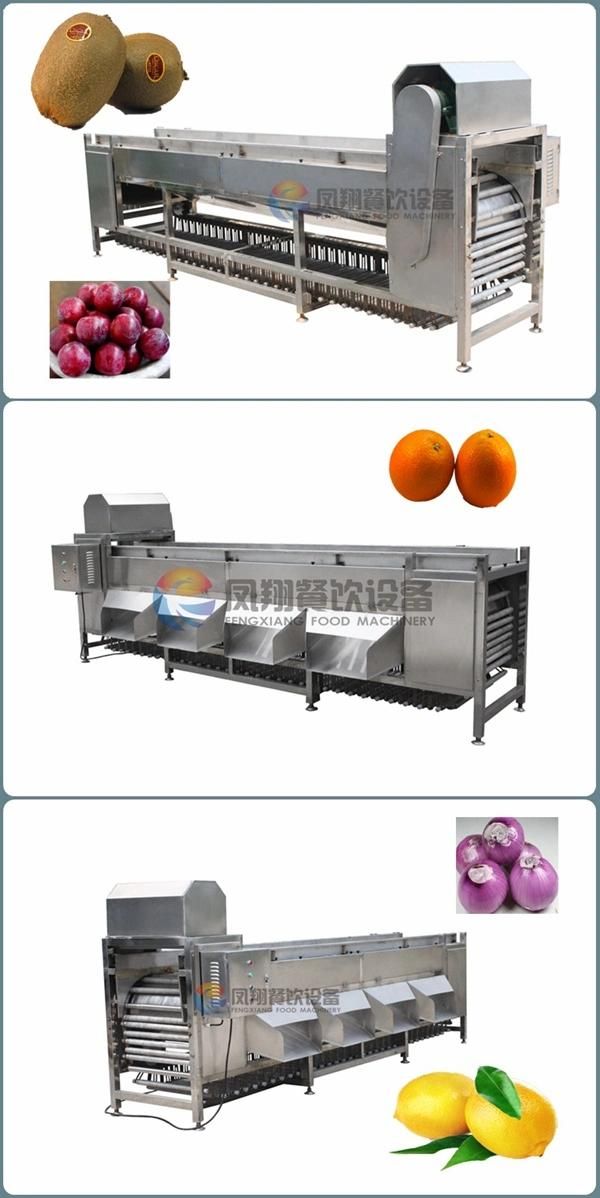 5 Grades Onion Potato Sorting Machine, Fruit Plum Grader Machine