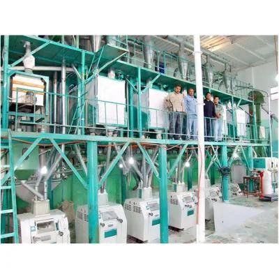 Hongdefa 60t/24h Wheat Milling Machine Flour Mill with Price