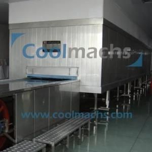 IQF Tunnel Freezer Fish Fillet for All Sea Food Processing Plant/Blast Freezer