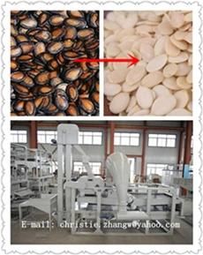 Good Price Pumpkin Seeds Dehulling Sunflower Seed Shelling Machine