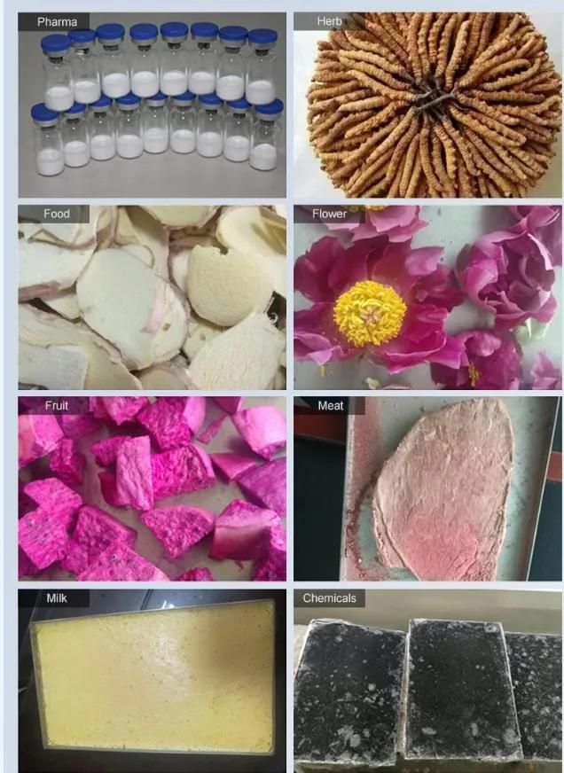 Laboratory Dry 1kg Freze Dryer Machine Freeze Drying of Vaccine