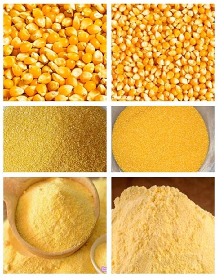 Africa Market Maize Flour Corn Grits Roller Mill Milling Machine Equipment