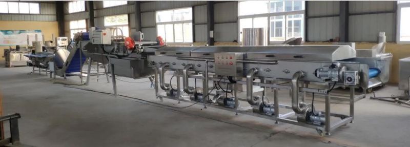 Vegetable Salad Vibration Drainer Dewatering Machine