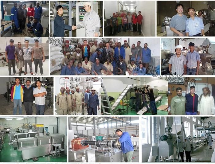 Corn Flakes Breakfast Cereals Production Machines Plant