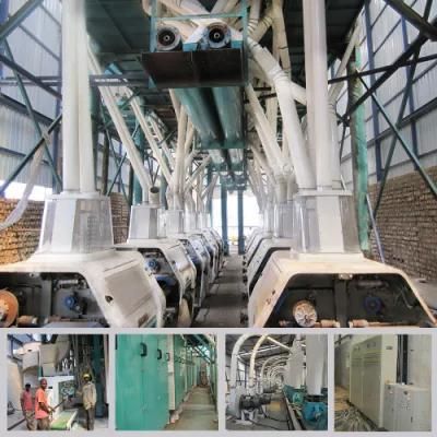 200t/24h Wheat Flour Milling Plant for Egypt Brazil