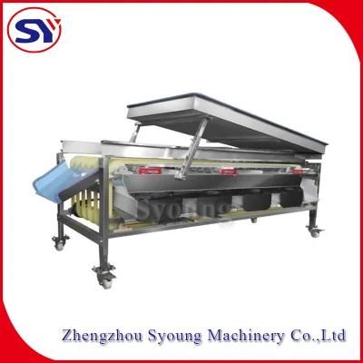 Strawberry/Red Dates Fruit Sorting Grading Machine